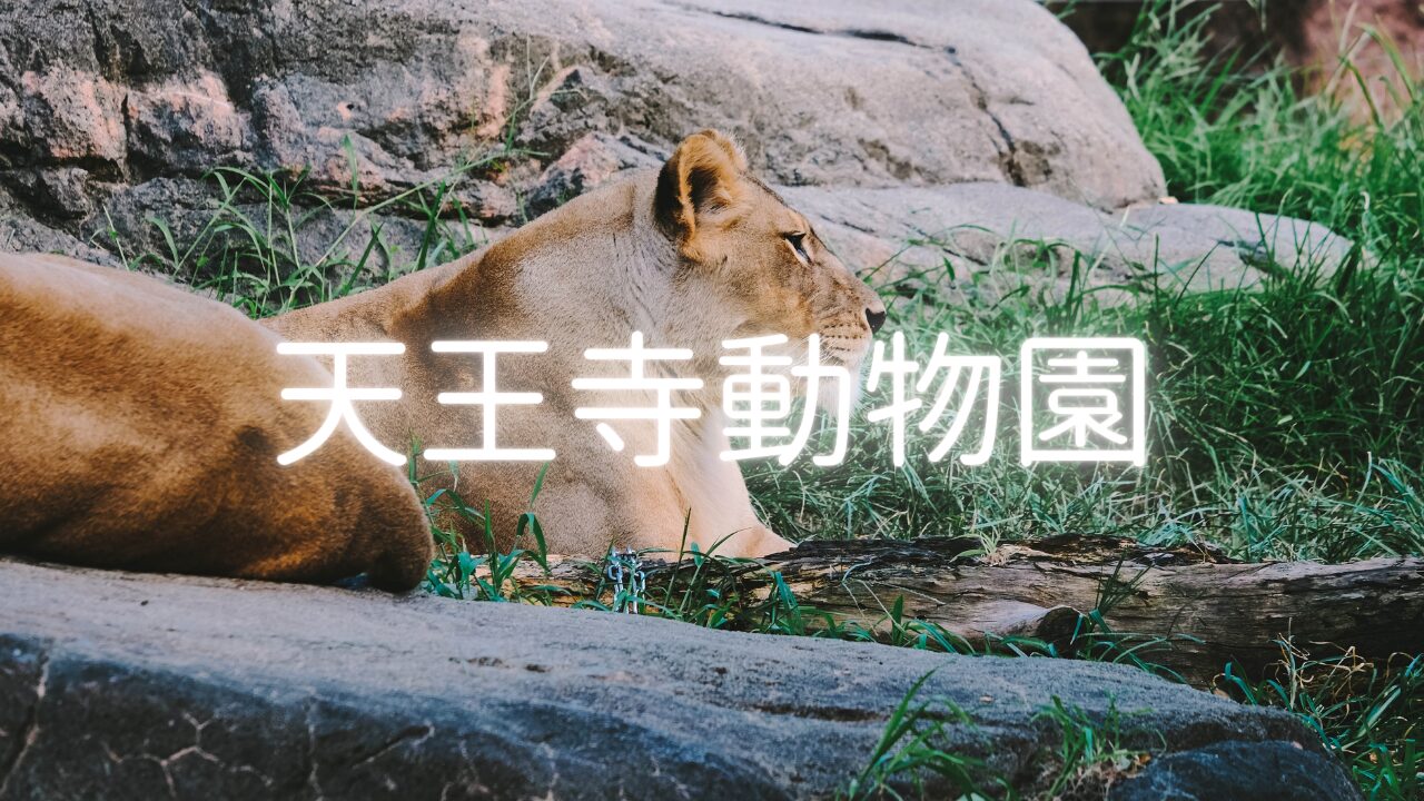 親の手を引く、天王寺動物園